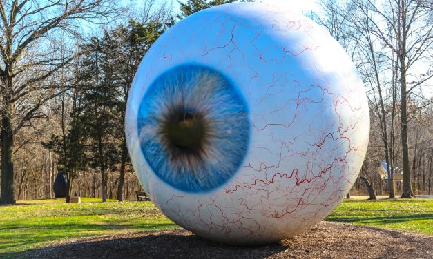 A Look Inside St. Louis’ Laumeier Sculpture Park